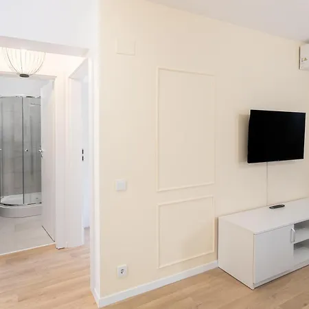 Simplicity Apartment