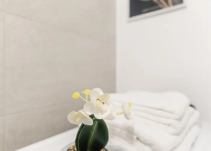 Simplicity Lejlighed Bukarest