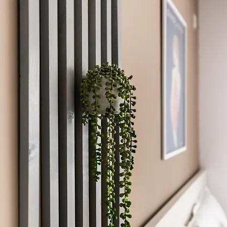 Apartment Simplicity