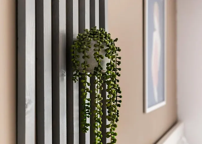 Lägenhet Simplicity